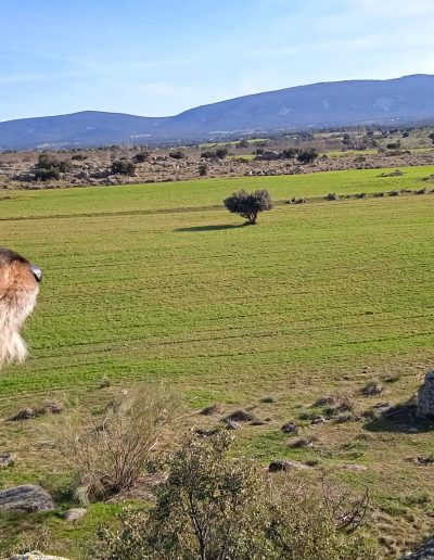 Rutas y Senderismo en la Vera
