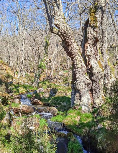 Alojamiento y Senderismo en La Vera
