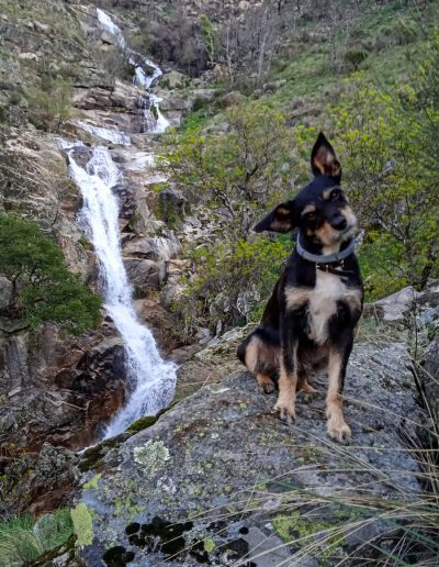 Alojamiento y Senderismo en La Vera
