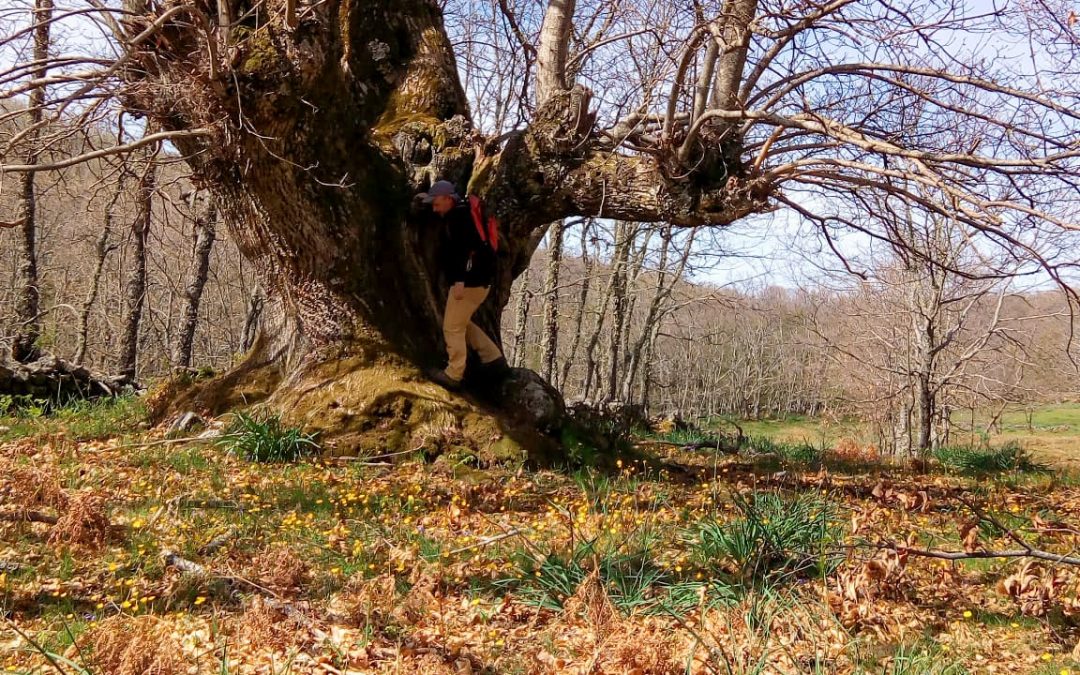 LA VERA Y SUS SENDEROS