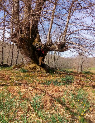 Alojamiento y Senderismo en La Vera