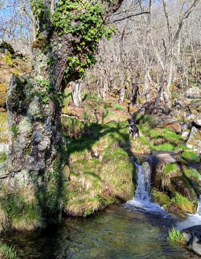Alojamiento y Senderismo en La Vera