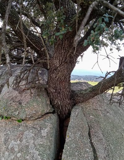 Alojamiento y Senderismo en La Vera