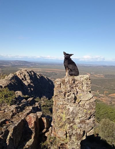 Alojamiento y Senderismo en La Vera