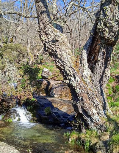 Alojamiento y Senderismo en La Vera