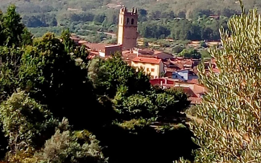 CAMINAR EN LA COMARCA DE LA VERA