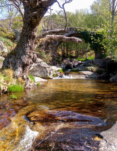 Alojamiento y Senderismo en La Vera
