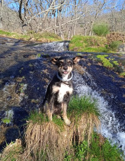 Alojamiento y Senderismo en La Vera