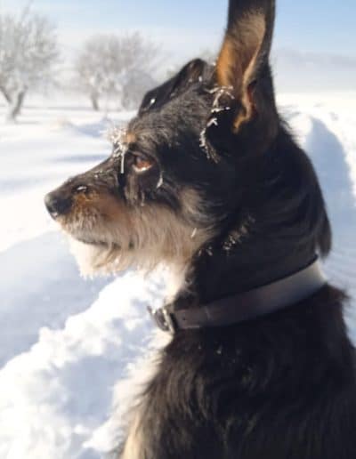 Alojamiento y Senderismo en La Vera