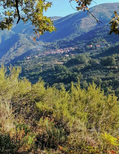 Alojamiento y Senderismo en La Vera