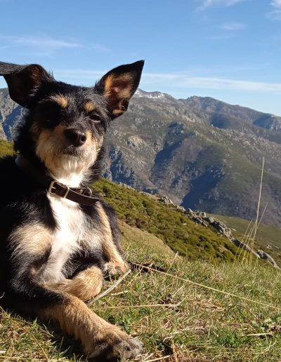 Alojamiento y Senderismo en La Vera