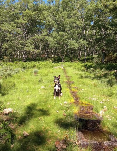 Senderismo en la comarca de la vera