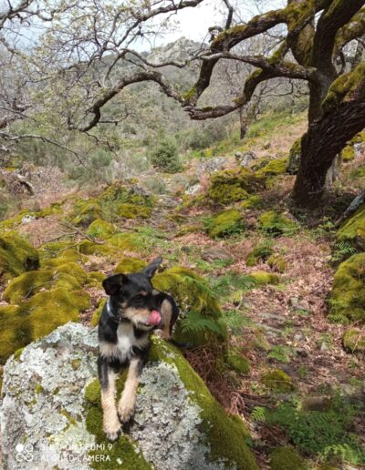 Naturaleza en estado puro